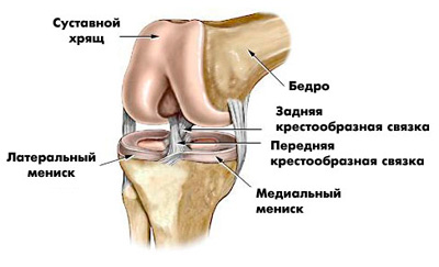 Изображение 2: Боли в коленях - клиника Семейный доктор