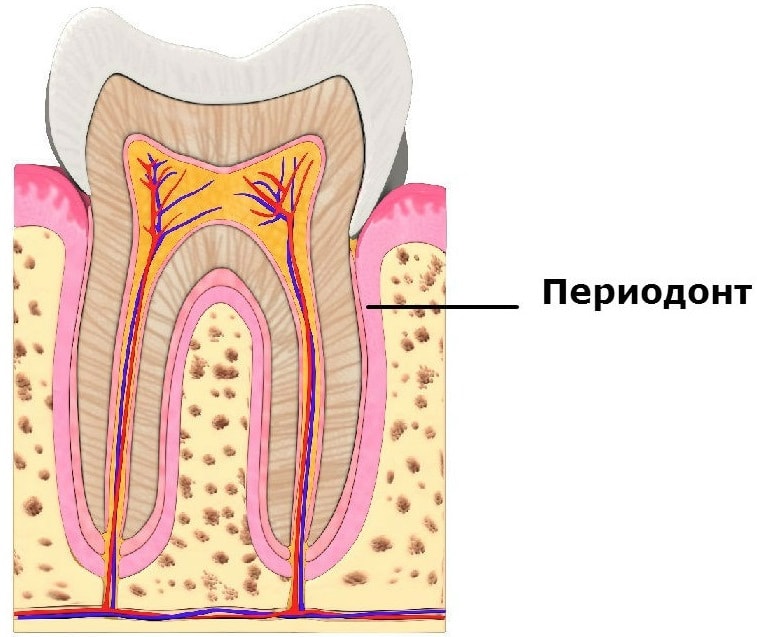 периодонтит