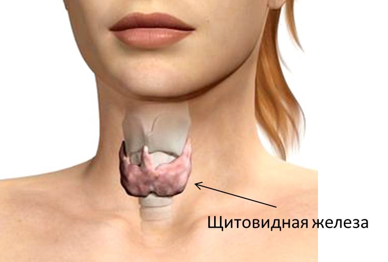 Изображение 1: Заболевания щитовидной железы - клиника Семейный доктор