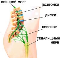 Изображение 2: Болит поясница - клиники АО Семейный доктор