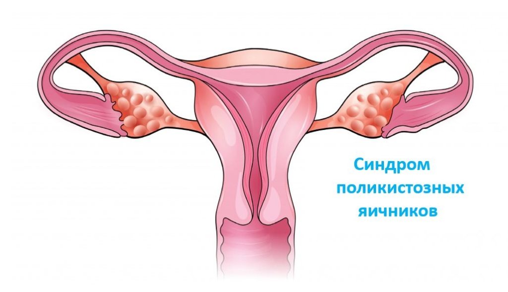 СПКЯ - Сеть клиник Семейный доктор (Москва) - Изображение 1