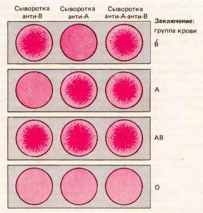 Варианты рождения детей по группам крови