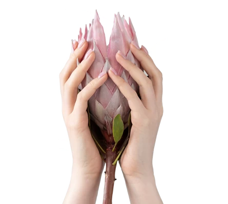 Img
