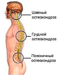 Врачи-специалисты