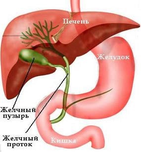 Изображение 1: Холецистит - клиника Семейный доктор